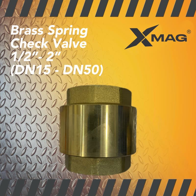 Brass Spring Check Valve